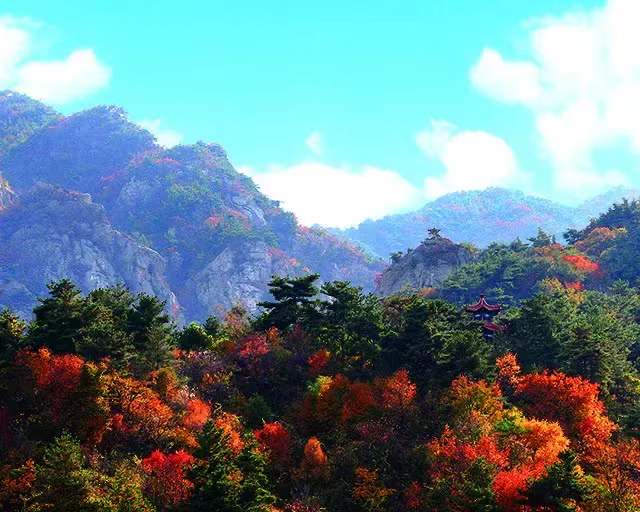 当最美的深秋遇上最美的昆嵛山……