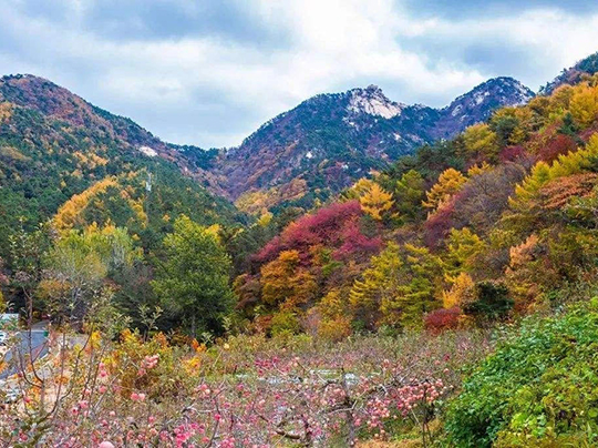 昆嵛山秋色曝光，惊艳！