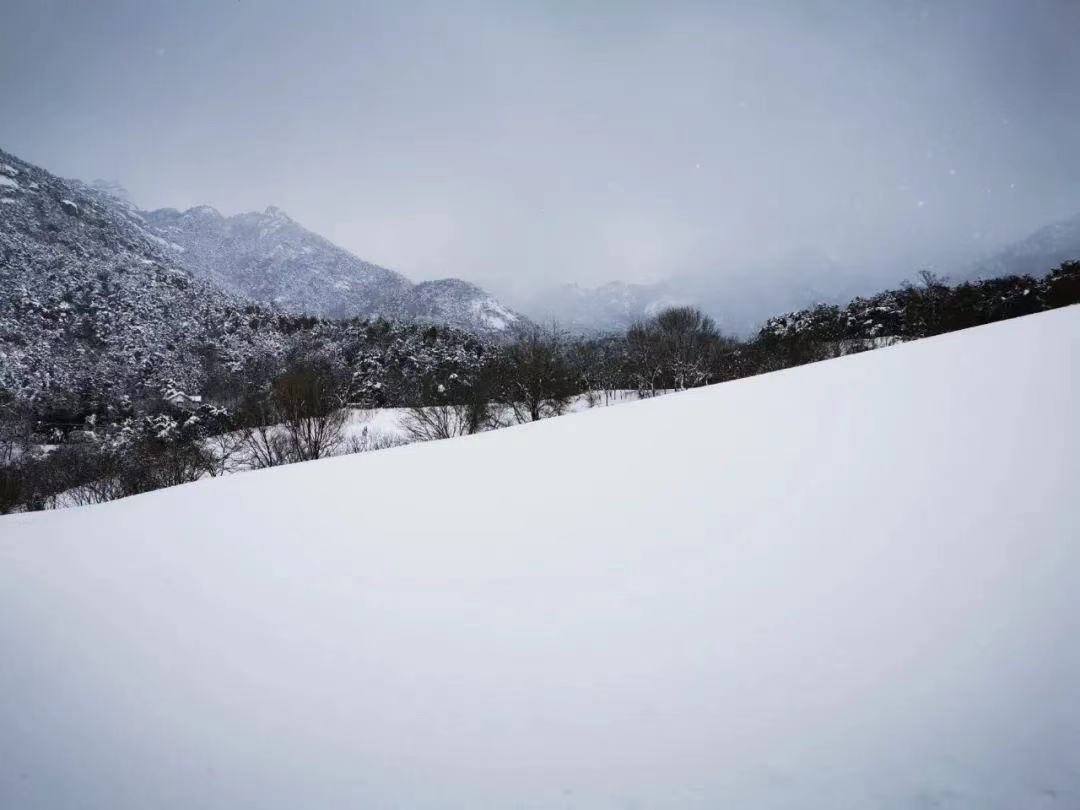天公落玉屑，昆嵛换银装……昆嵛山花海变雪海！