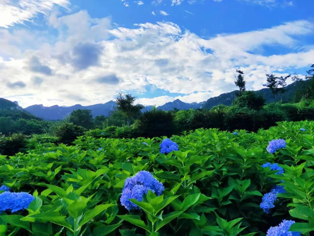 【文明旅游】践行文明旅游，从你我做起